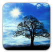 ”Blue Sky Free Live Wallpaper