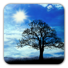 Blue Sky Free Live Wallpaper آئیکن