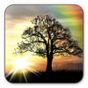 Sun Rise Free Live Wallpaper icono