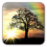 Sun Rise Free Live Wallpaper APK