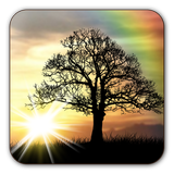 Sun Rise Live Wallpaper Free APK