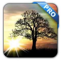 Скачать Sun Rise Pro Live Wallpaper APK
