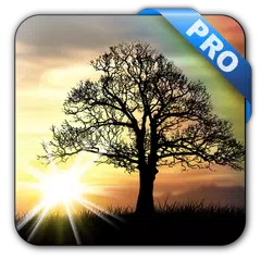 Sun Rise Pro Live Wallpaper APK 下載