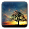 Sunset Hill Free LiveWallpaper APK