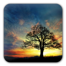 Sunset Hill Free LiveWallpaper APK