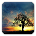 Sunset Hill Free LiveWallpaper icon