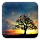 Sunset Hill Free LiveWallpaper-icoon