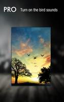 Sunset Hill Free LiveWallpaper syot layar 3