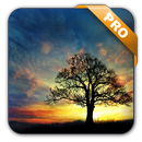 APK Sunset Hill Pro Live Wallpaper