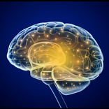 Memory Booster - Improve your Brain power