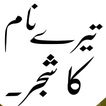 Urdu Novels offline Reading иконка