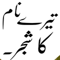 Urdu Novels offline Reading