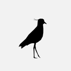 Iter أيقونة
