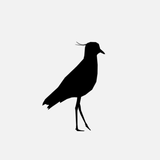 Iter أيقونة