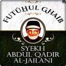 Terjemah Kitab Futuhul Ghaib APK