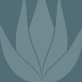 Terral APK