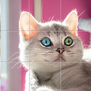 Tiny Photo Puzzle - New Jigsaw Type Puzzle APK