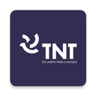 TNT icône