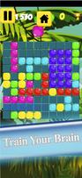 Tetris Offline Block Puzzle Game capture d'écran 2