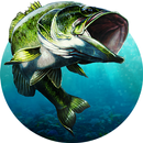 Sport Fishing: Catch a Trophy APK