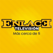 Enlace Televisión