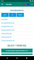 SQL Veritabanı Sorgulama Dili الملصق