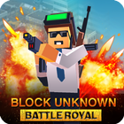 Block Unknown Battle Royale icône