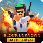 Block Unknown Battle Royale أيقونة