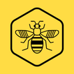 Bee Network