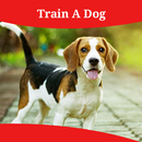 How to Train a Dog APK