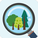 My Tree ID APK