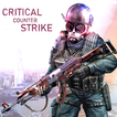 ”Critical counter strike:Heli F