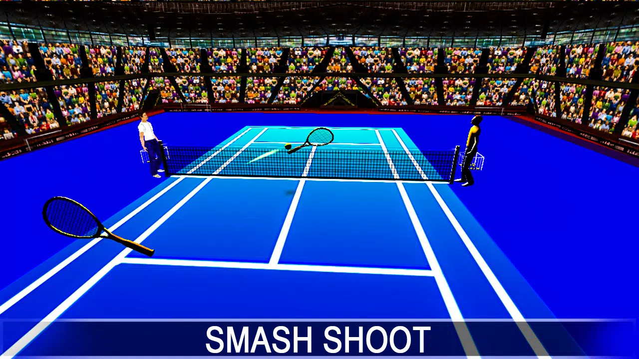 Tennis 3D World Championship Fun APK for Android Download