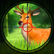Animal Hunting : Games 2025 أيقونة