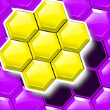 Hexa Block Jigsaw Puzzle Game