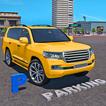Modern Rally Car Parking Game