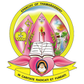 Tsy Diocese