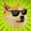 Flappy Doge Game Online