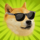 Flappy Doge Game Online ícone