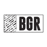 BGR - The Burger Joint