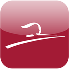 Thalys Internationale treinen-icoon
