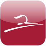 Thalys - International trains icon