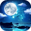 Clair de Lune Fond d'écran APK