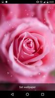 Rose Live Wallpaper ภาพหน้าจอ 2