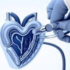 Auscultations of Heart Sounds icon