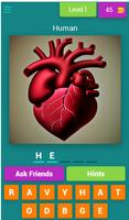 Cardio Quiz Poster