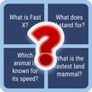 Fast X Challenge APK