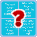 Basic Anatomy Quiz