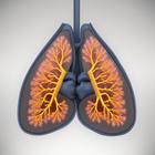 Lung Sounds Quiz icon