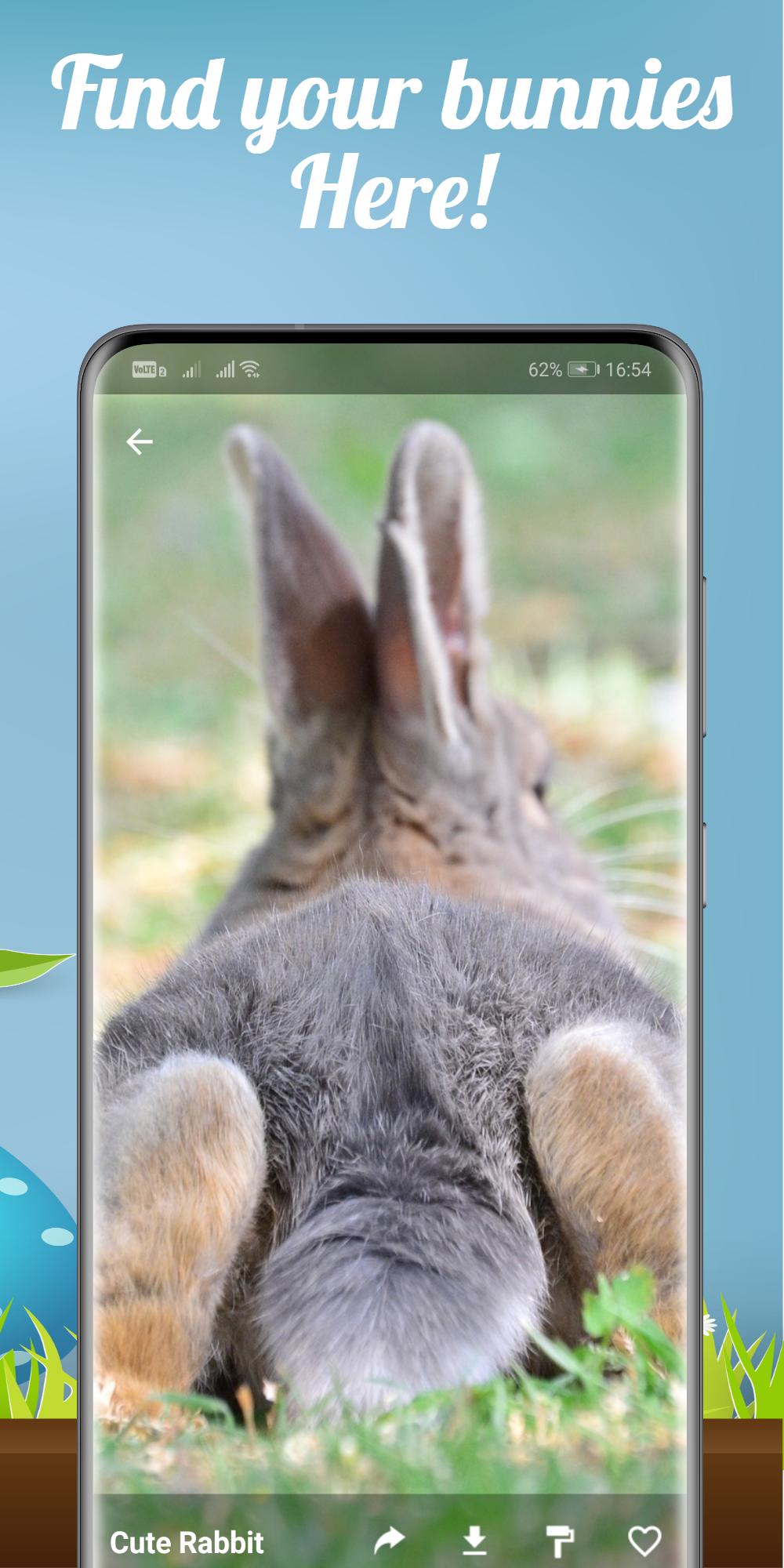 Bunnies Beautiful And Cute Rabbit Wallpaper Hd For Android Apk Download